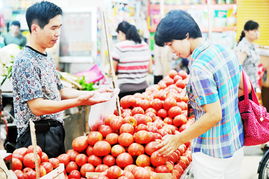 食用農產品批發價格分析 蔬菜價格止漲回落