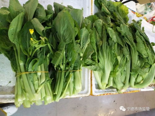 全城抽檢糧油蛋菜肉，守護疫情期間食用農產品安全