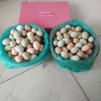 深耕源頭，鏈接城鄉 農產品批發供應商杜朝兵的惠農之路