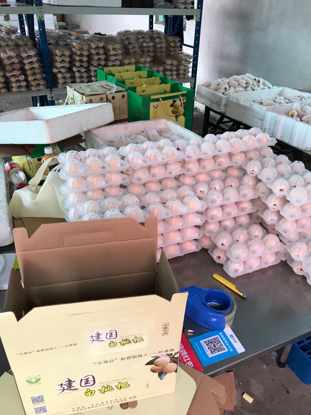 寧海白枇杷 當(dāng)季鮮果，獨(dú)特風(fēng)味，盡享初夏清甜